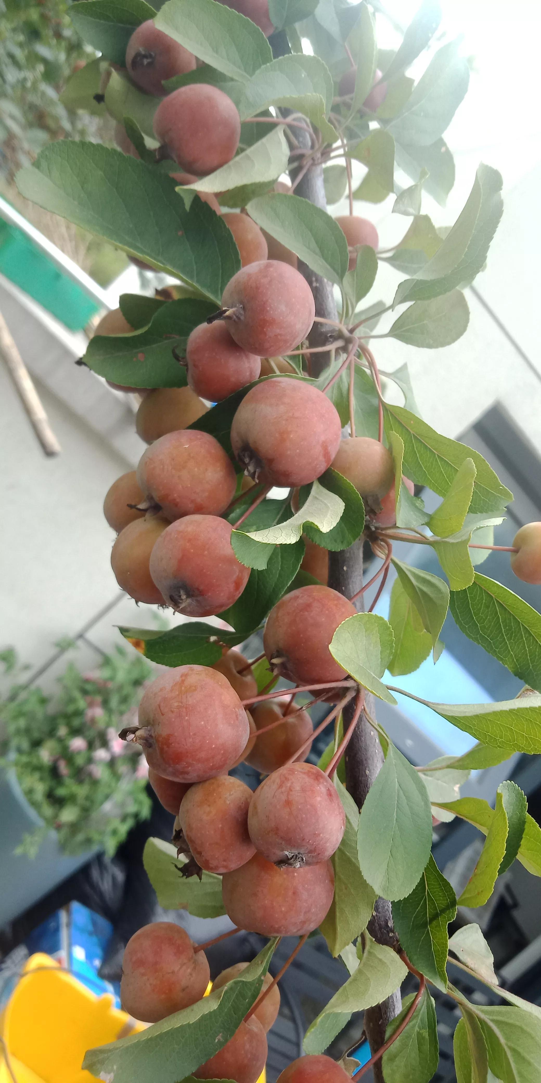 房屋漏水房顶需要怎么改造,旧房改造后楼顶漏水找哪里处理