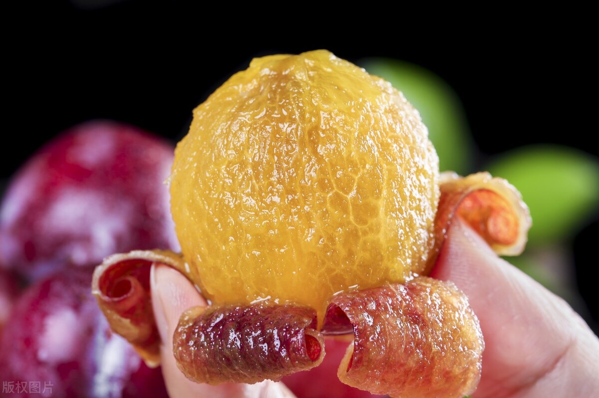 所有的西梅都是法兰西西梅吗,加州西梅贵不贵