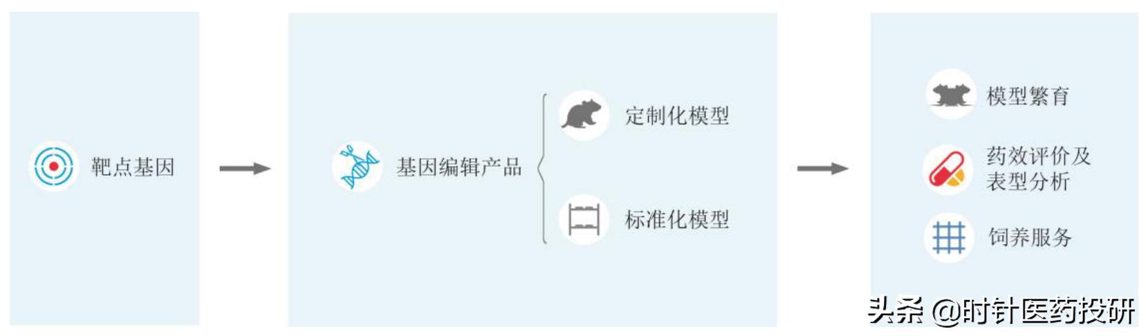 南模生物大概能赚多少,南模生物股票上市价格分析