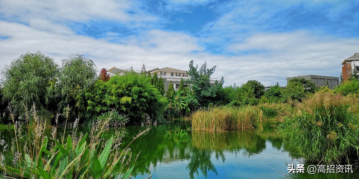 师范、电气、财经等10大热门行业“黄埔军校”及云南高校龙虎榜