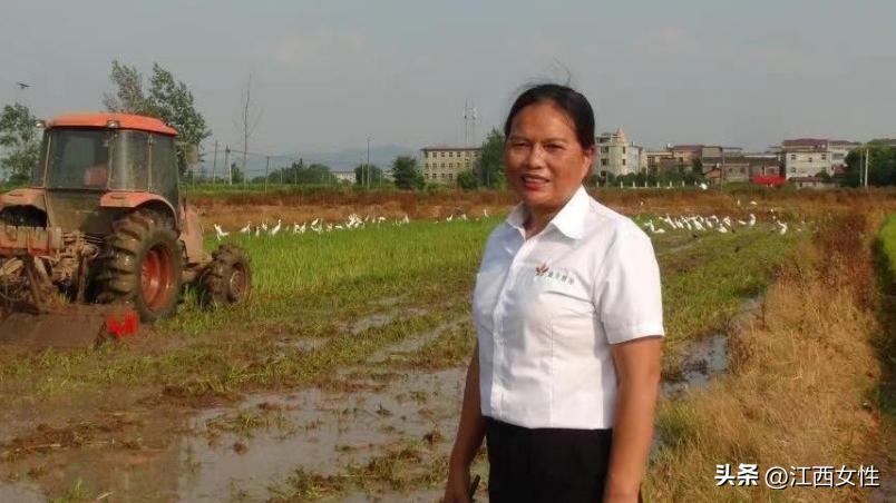 乡村振兴巾帼建功行动,巾帼建功乡村振兴