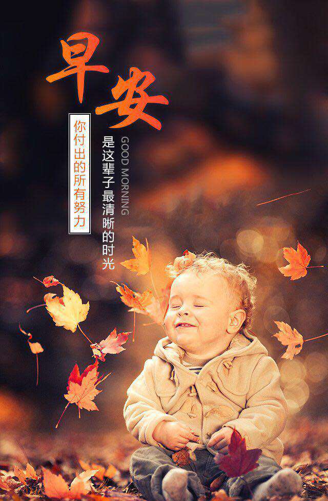 早安祝福语唯美短信,暖心清晨早安问候祝福语录短信