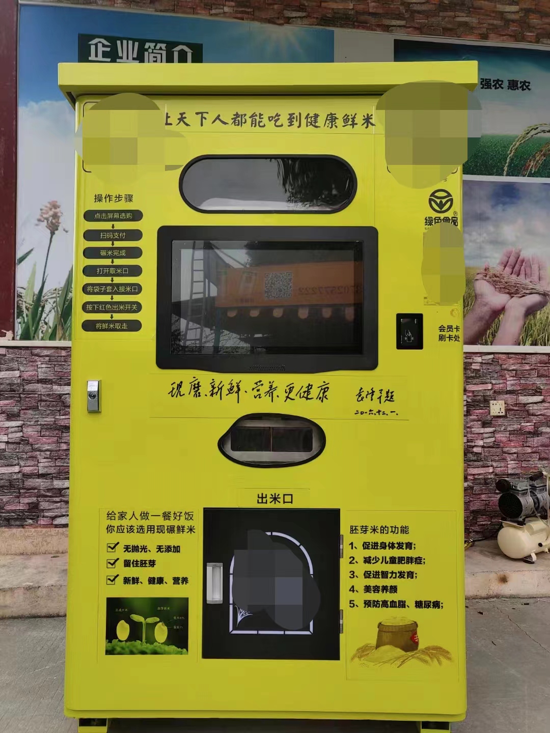 在广东种番薯,在广东种植红薯赚钱吗