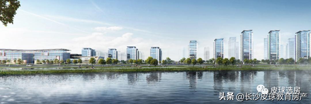 阳光城离职高管名单,阳光城倒闭员工怎么办