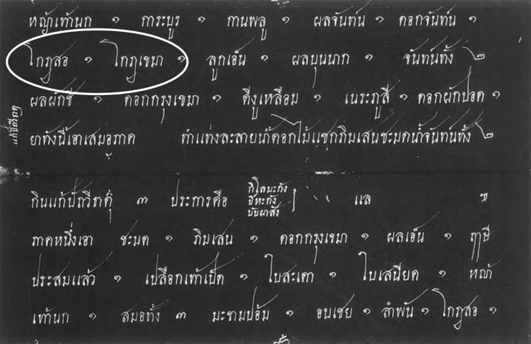 泰医与中医区别,中医对泰医的影响