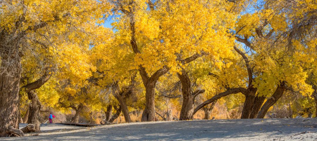 甘肃最值得去的旅游景点排名,甘肃旅游景点详细分布图