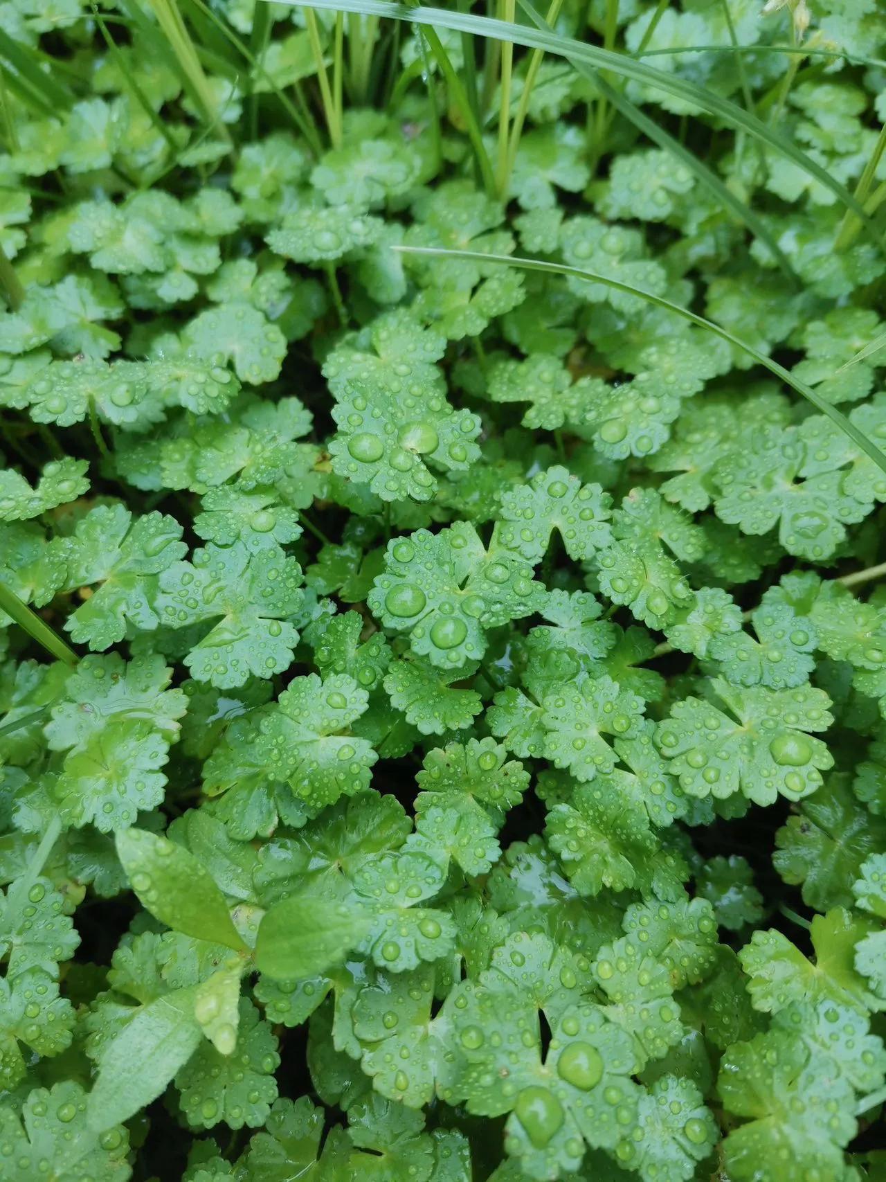 工业互联网大赛,工业互联网平台