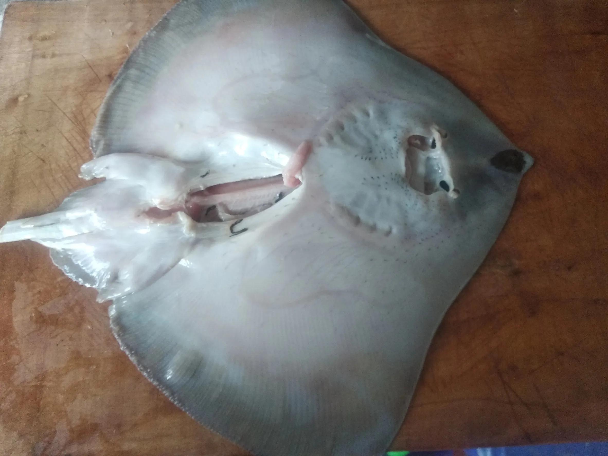 立冬后应季菜,立冬过后什么鱼最好