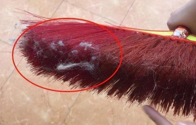 为什么家里毛絮很多如何处理,家中毛絮频频出现