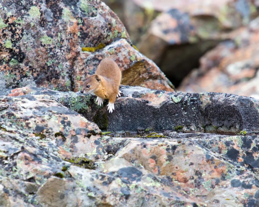 昆明七彩云南怎么样,七彩云南避暑家园