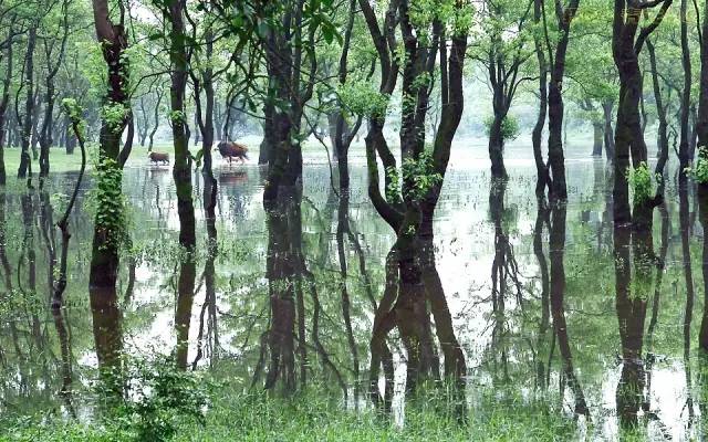 江西5月份冷门旅游,江西十大冷门景点人少景美好玩