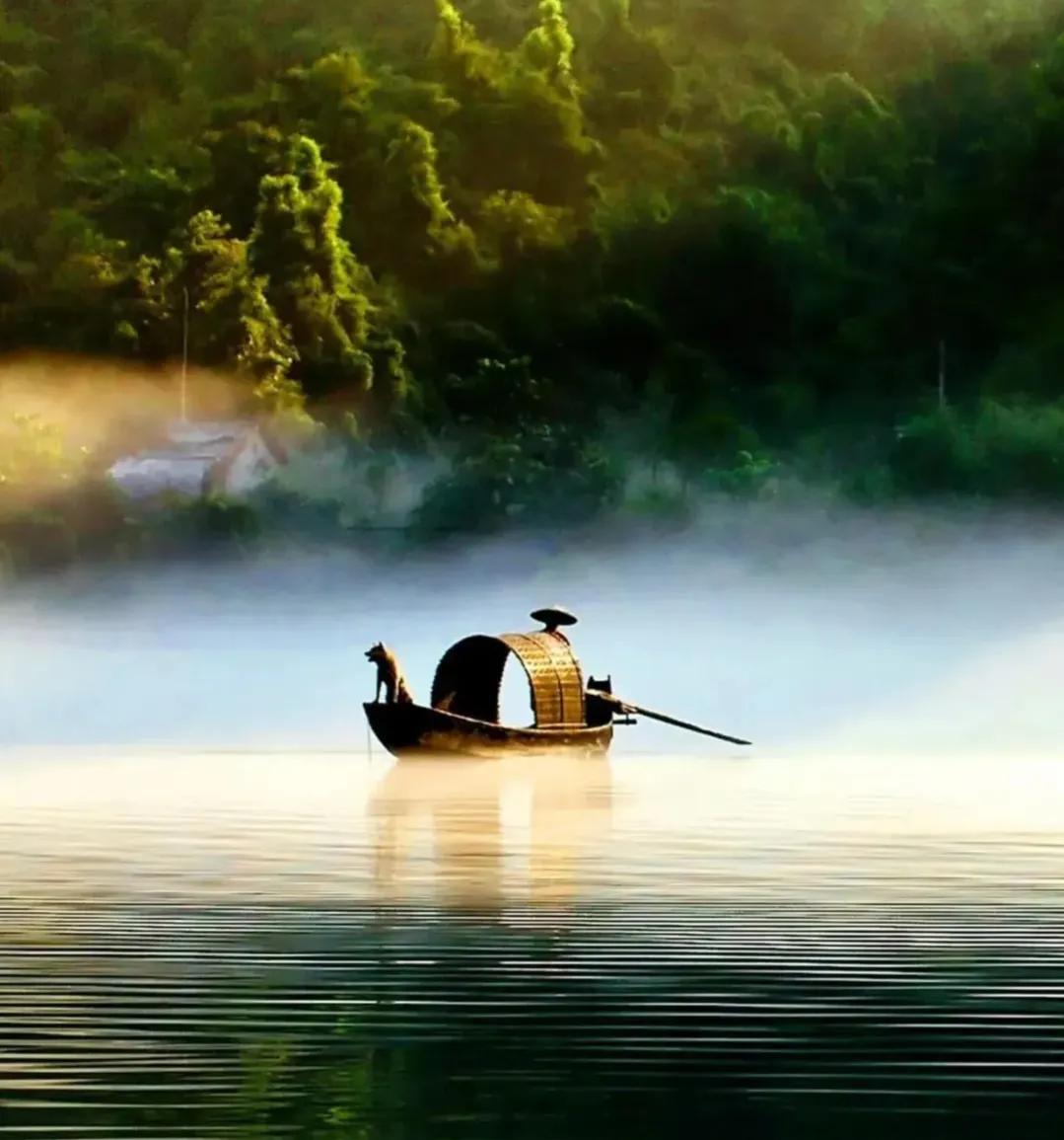 怎么查自己在公司入职情况,入职必须要知道的规则