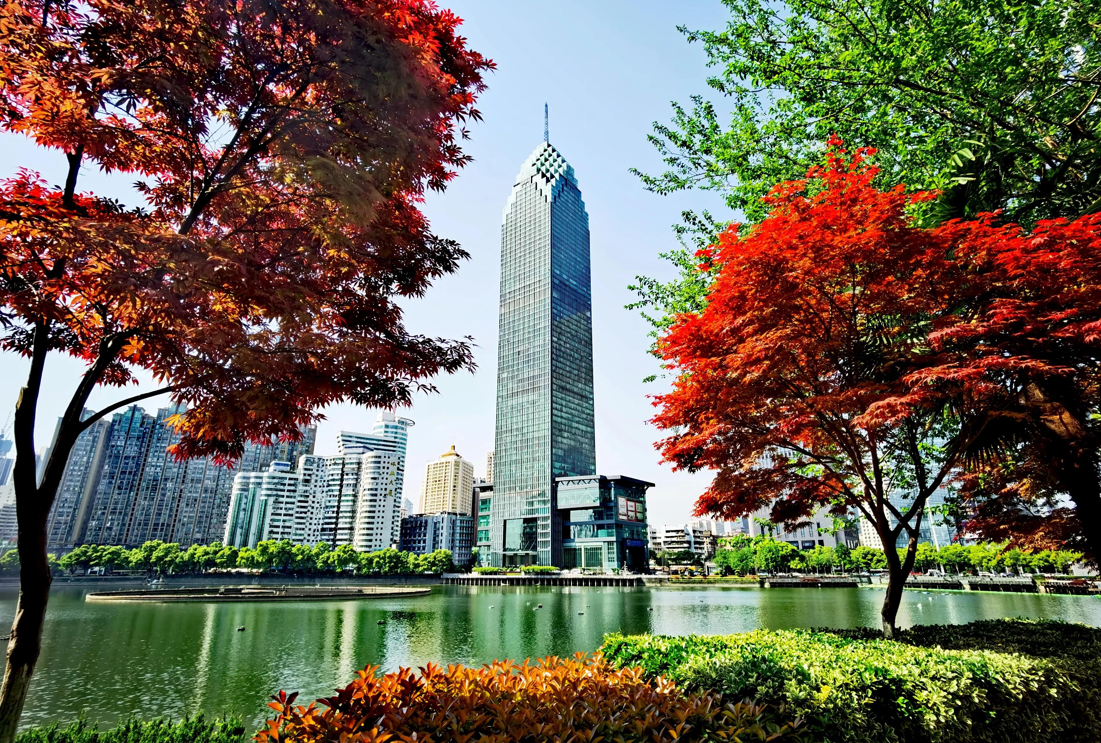 武汉的沉湖湿地公园,武汉最大喷泉