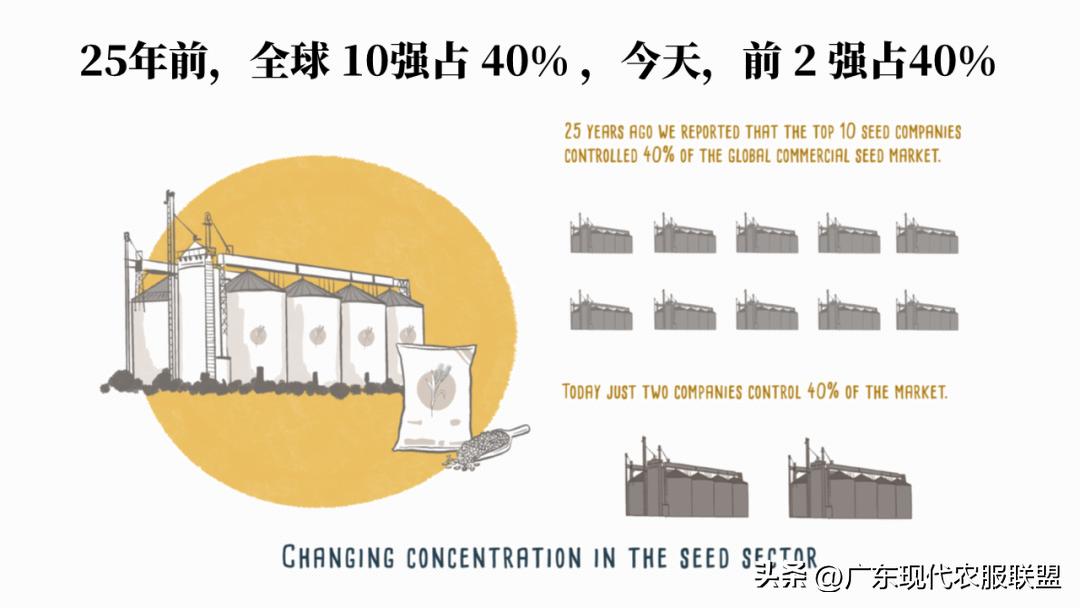 国内涉农企业有哪些,中国涉农企业2019排行榜