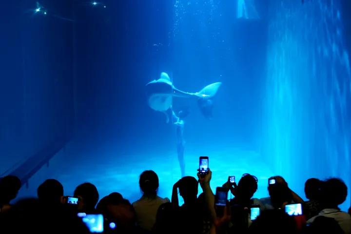 大连金石滩步行旅游攻略,大连金石滩徒步路线推荐