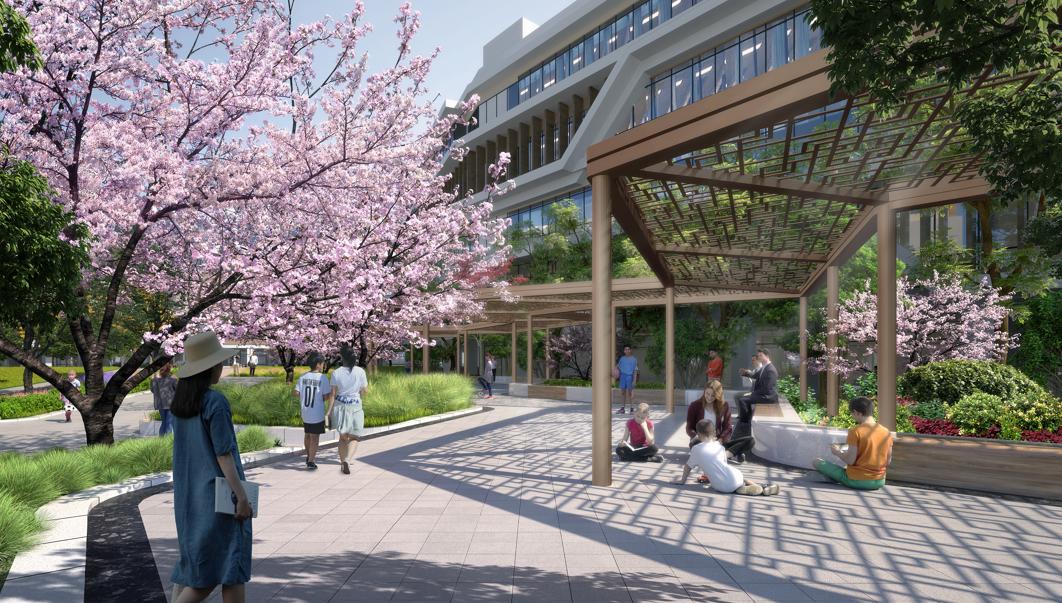 爱莎国际学校武汉活动,武汉爱莎国际学校alevel