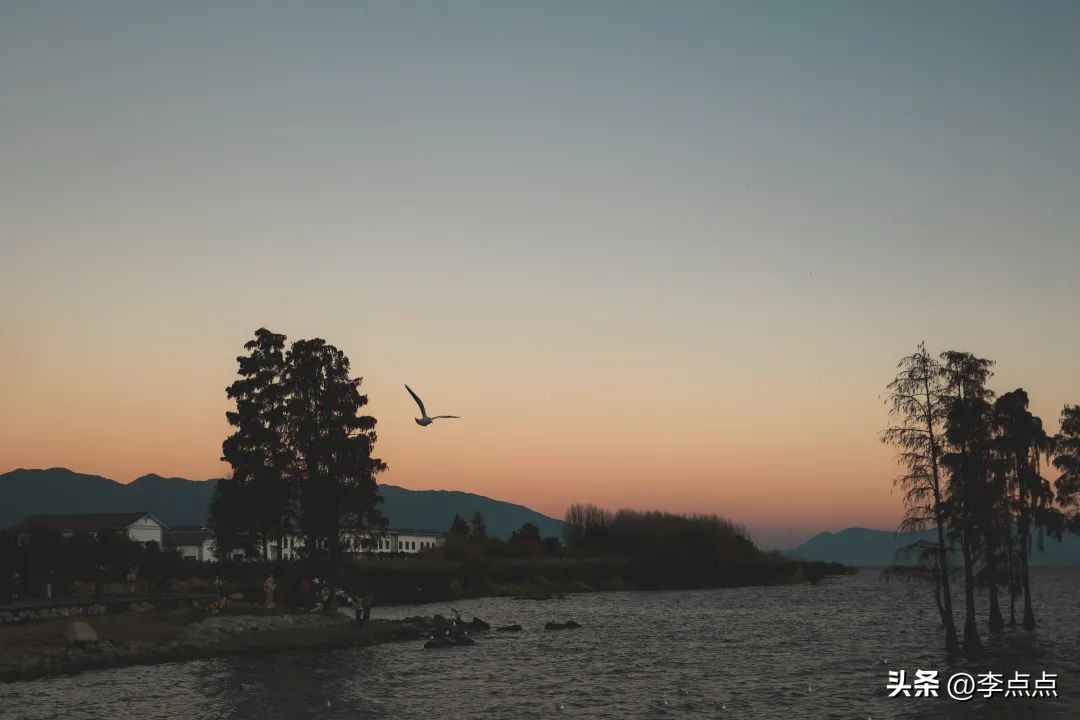 云南旅游疫情最新政策,云南旅游团疫情最新消息