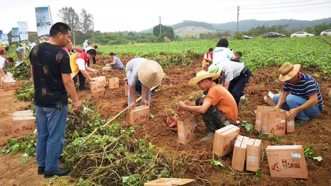 乡村旅游电商发展规划,乡村旅游互联网模式有哪些