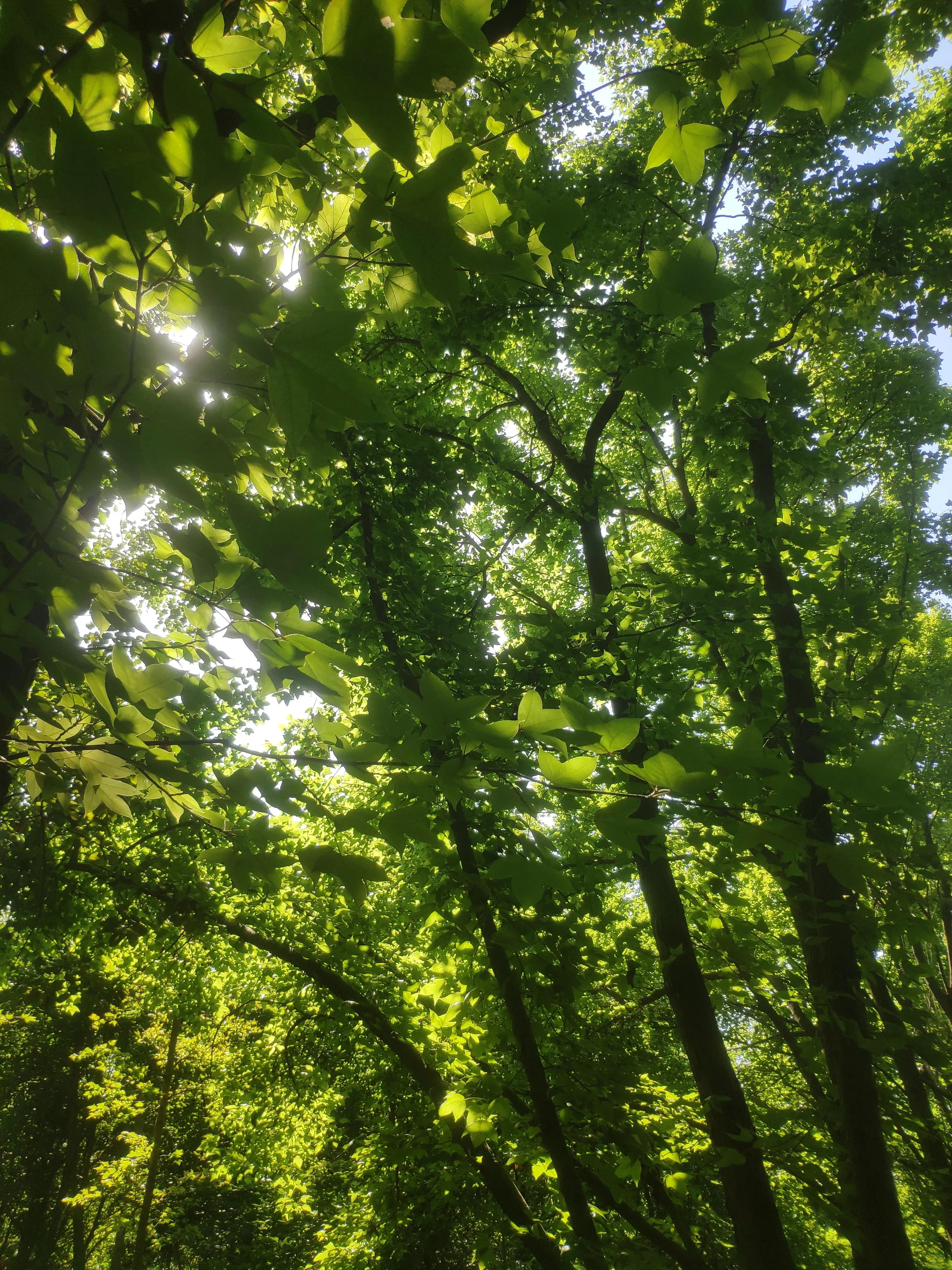 与窗帘有关的小故事,拉窗帘的故事大全