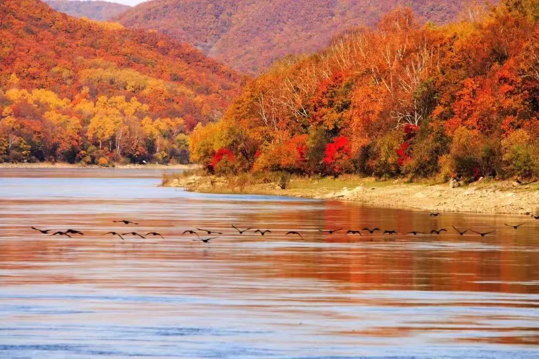 50块钱逛遍大连,50块钱逛沈阳