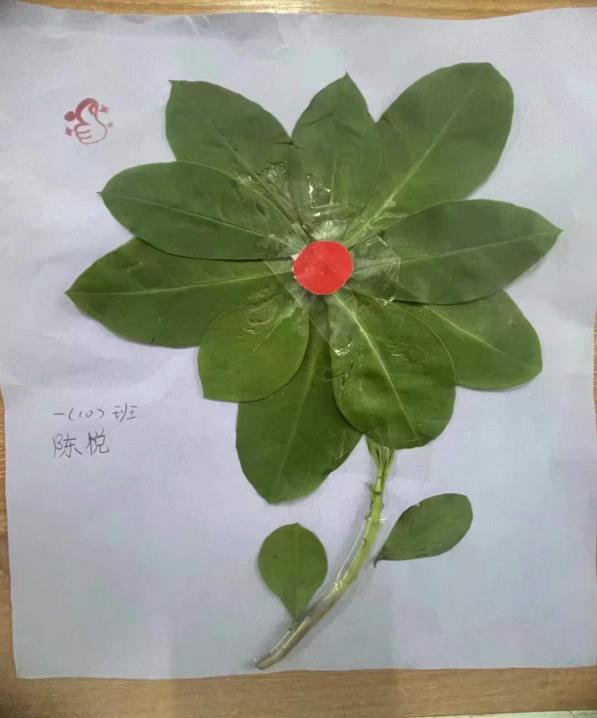 双减优秀案例从哪几个方面写,双减作业案例获奖范文