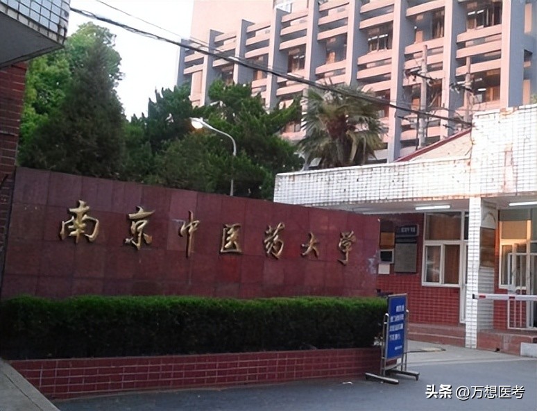 在中医药大学读临床也蛮不错——南京中医药大学23年报考信息全析