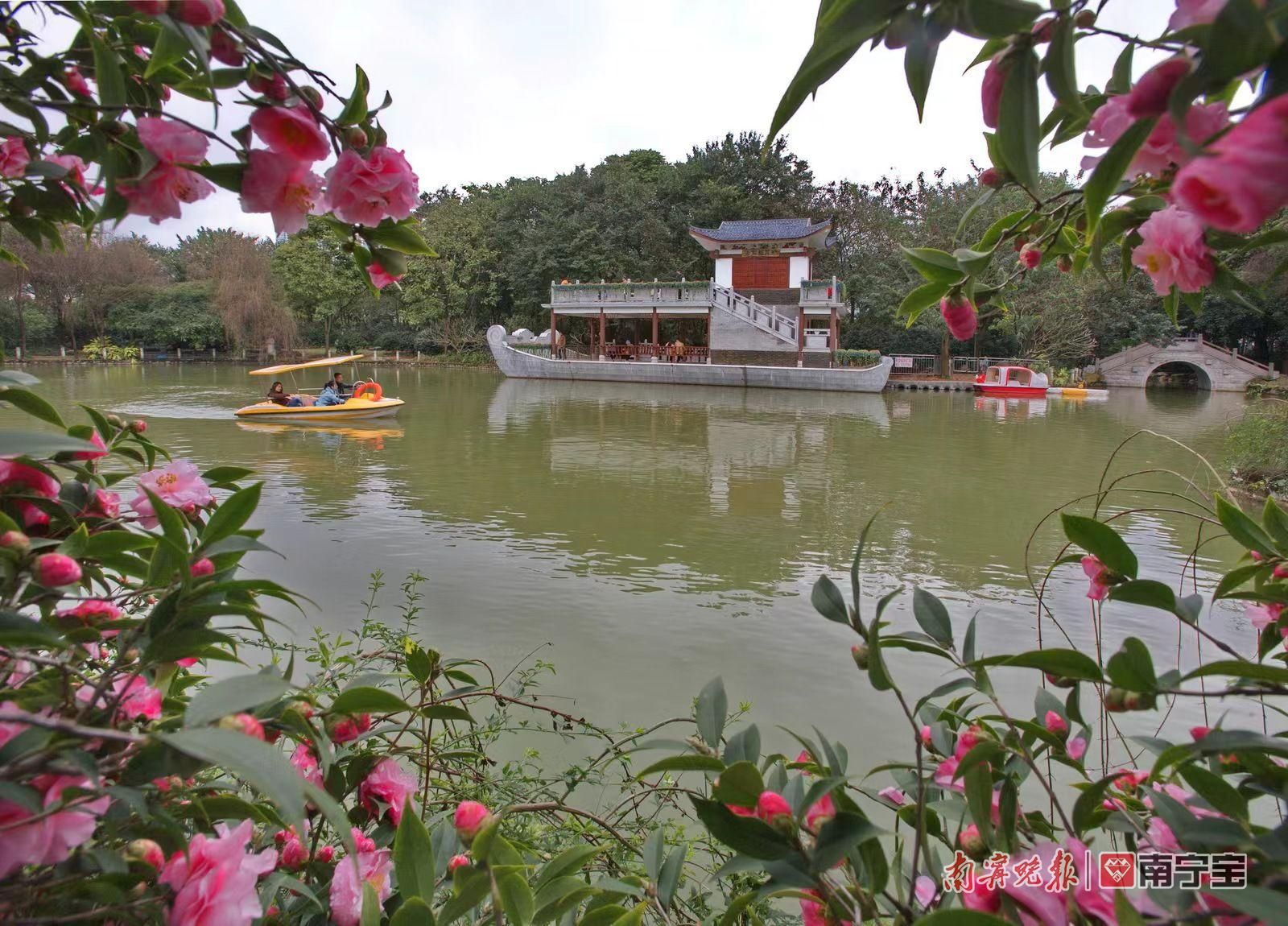 南宁小众打卡地青秀区,南宁必打卡的十个地方