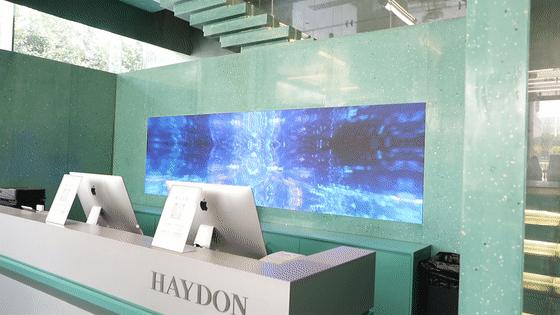 haydon黑洞北京店,haydon黑洞旗舰店上海