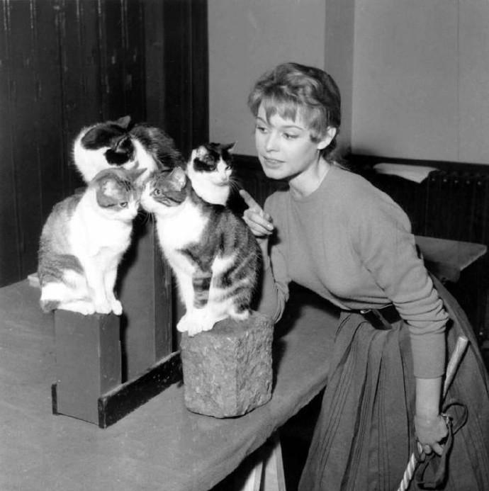 日军日记：*安妇慰**不服从管教，我很愤怒，用*刀刺**插入她的*体下**