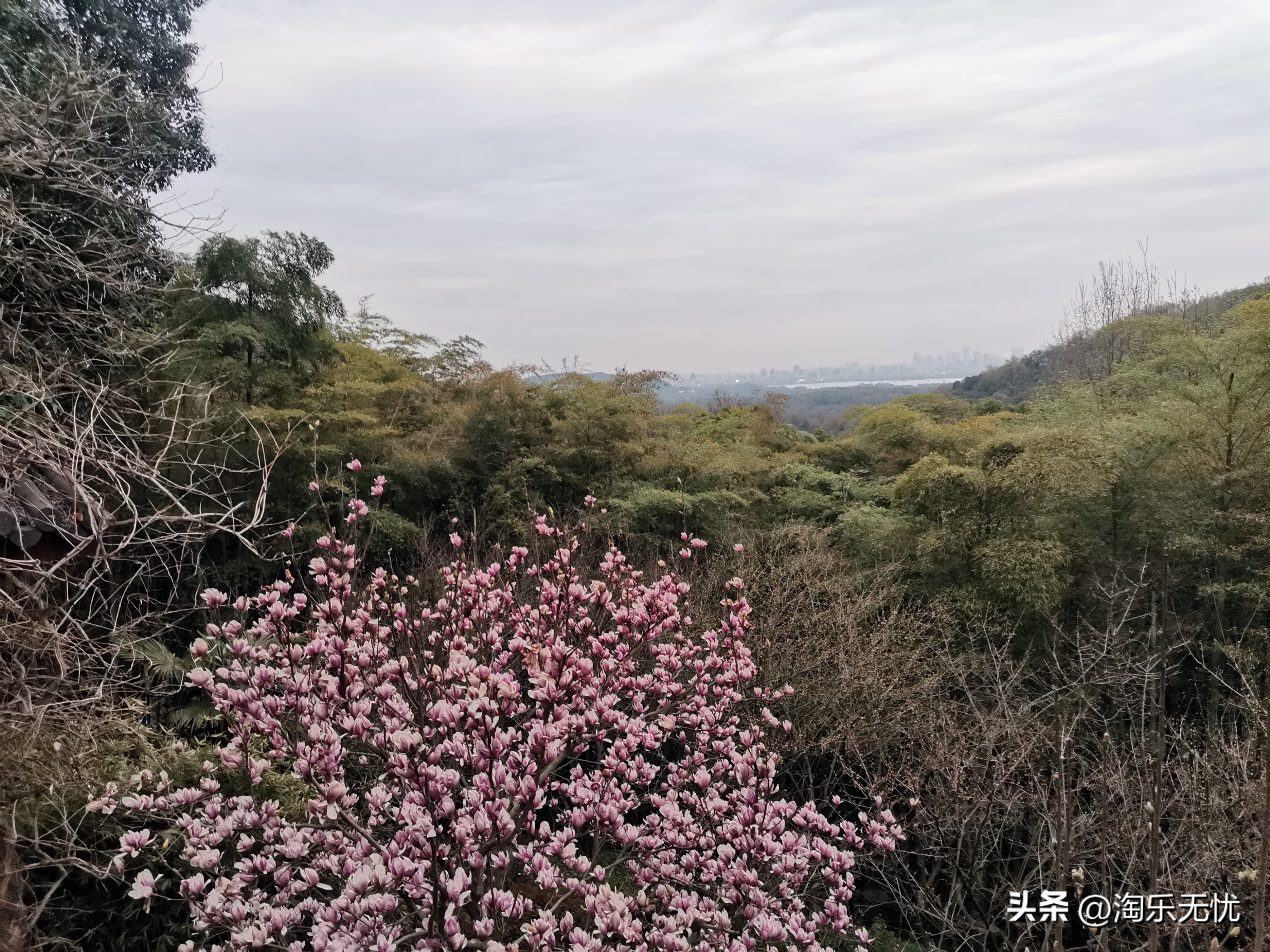 灵隐飞来峰爬上灵隐寺需要多久,杭州景点飞来峰和灵隐寺介绍