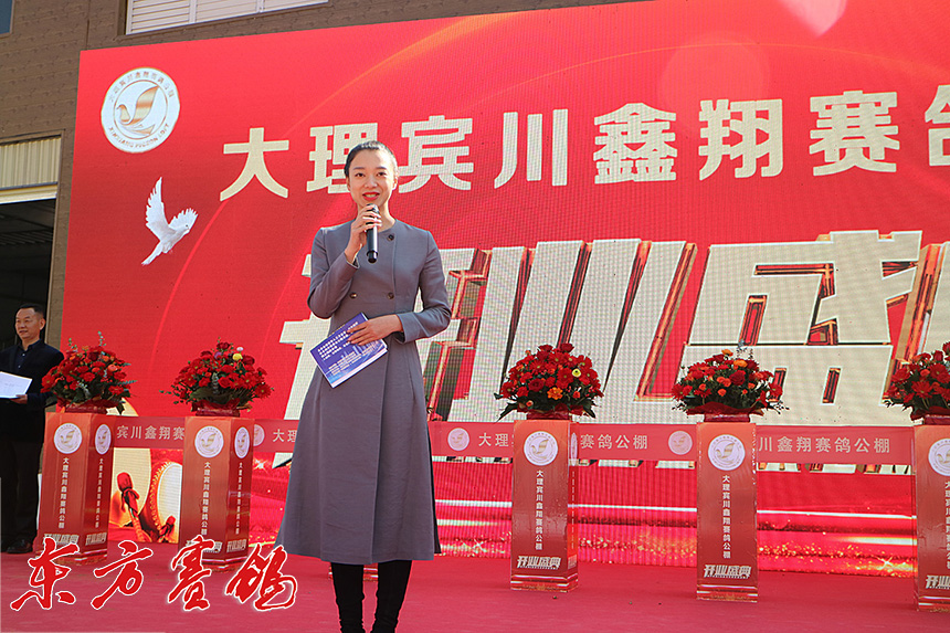 云南大理鑫翔公棚,大理宾川鑫翔公棚规程