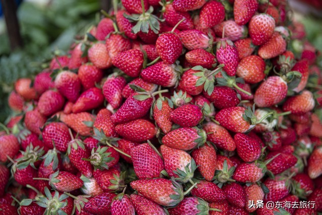 来云南才知道的10件事,去云南旅游有什么反应