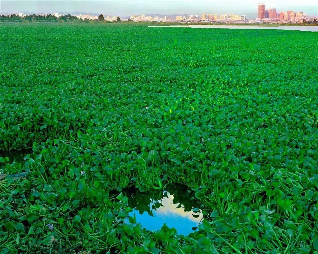 2022年五运六气壬寅年详细解释,2022年壬寅年虎年日历图片