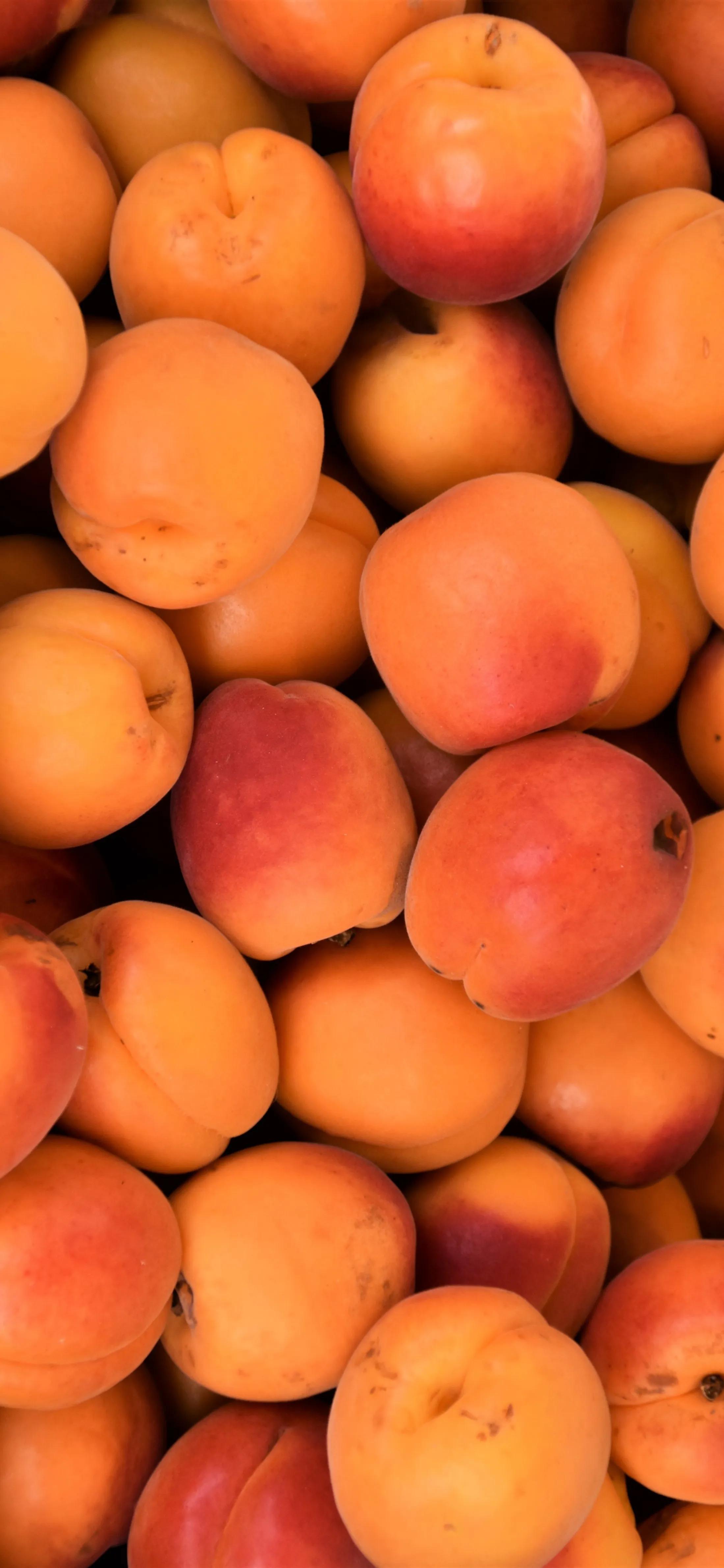 高清壁纸全面屏手机,围棋壁纸高清全面屏