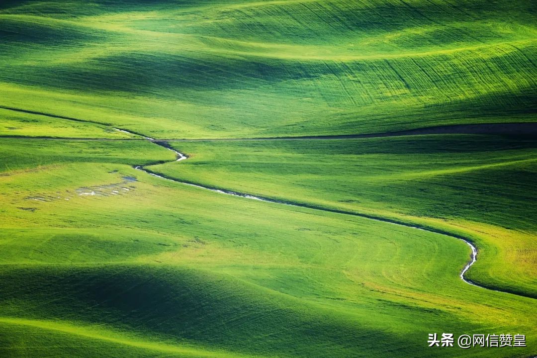 春天送你一首诗朗诵获奖名单 (春天送你一首诗亲子朗诵完整版)