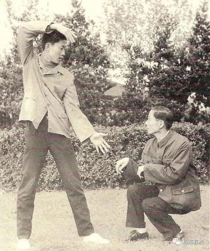 真传和嫡传,真传陈式太极拳