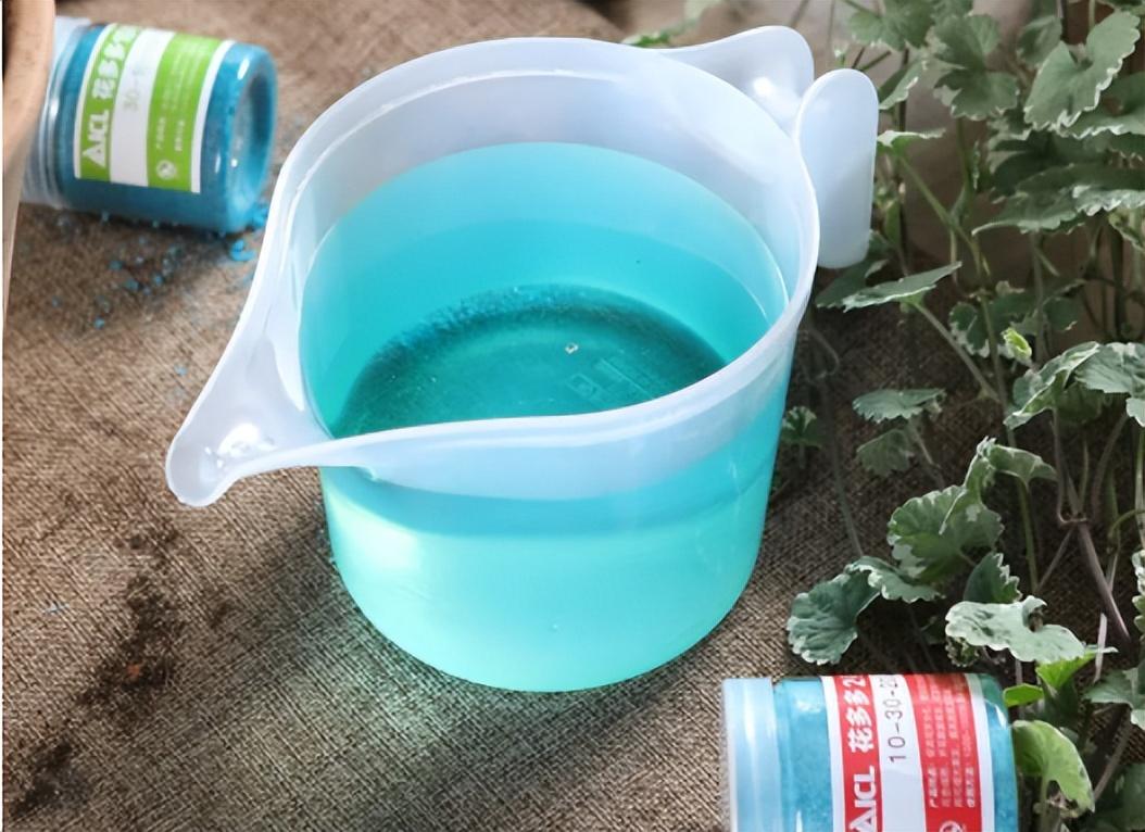 虎刺梅大花品种磷酸二氢钾,磷酸二氢钾促花促果用多少倍