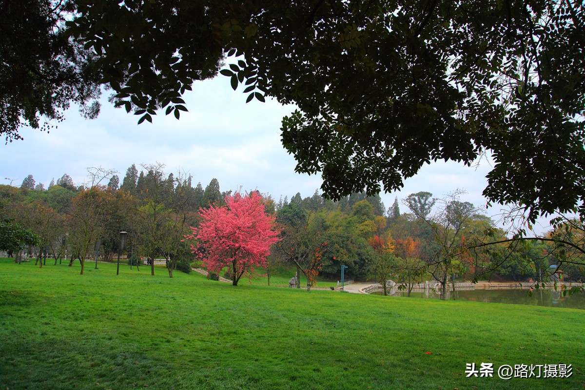 中国夏季最凉快的城市,全中国夏天最凉爽的城市