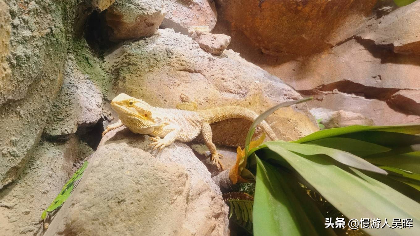 海南环岛游攻略详细行程,海南东线环岛游攻略自由行