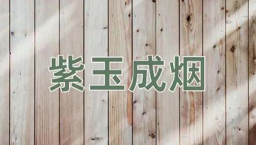 看图猜玉花组成的成语,看图猜成语请写出成语的由来