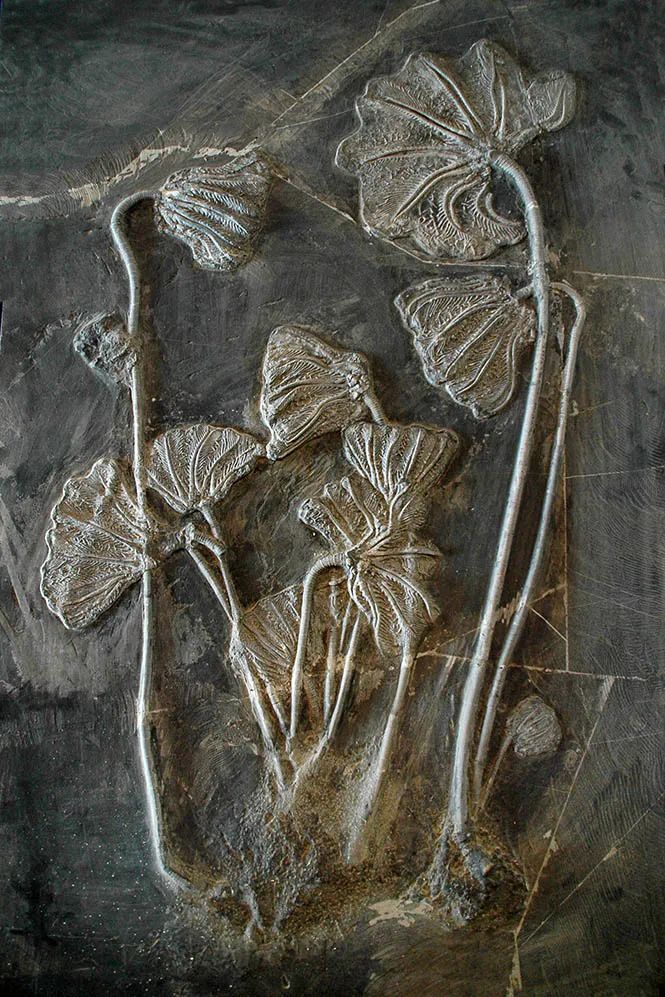 怎样全面了解中国历史,如何全方位读懂中国历史