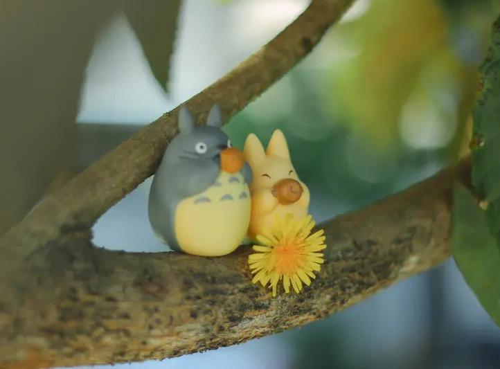 龙猫这部电影告诉我们什么,龙猫深度解析动画电影