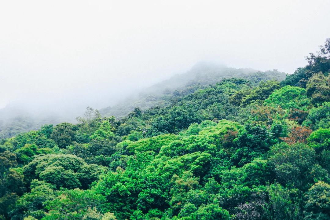 深圳最值得爬的景点,深圳十大最值得爬的山