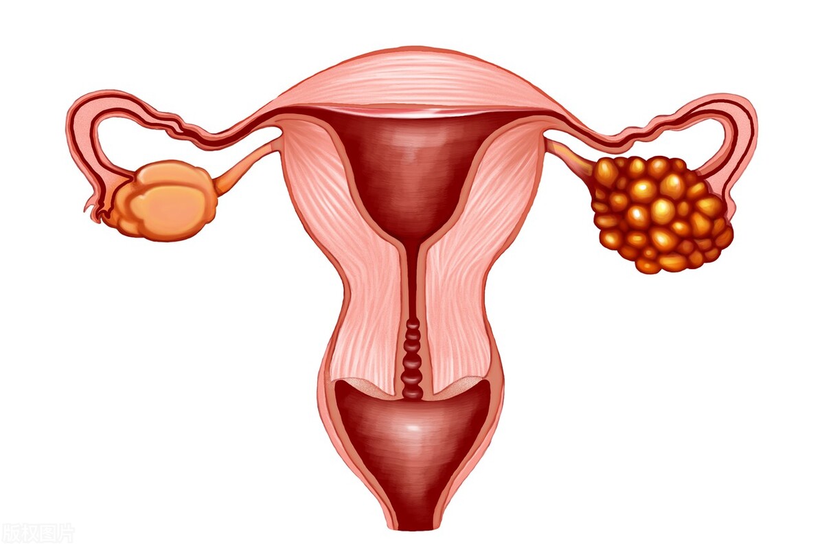 中医夫妻互动的最佳时间,中医夫妻什么时候互动最好