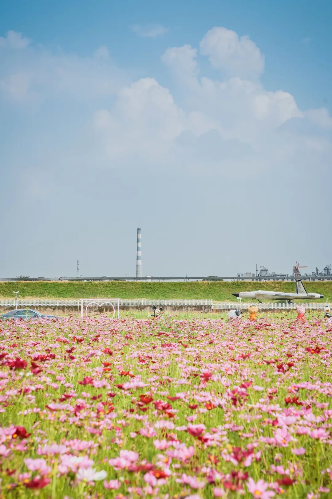 稻梦空间乡村生态观光园,稻梦空间采摘园