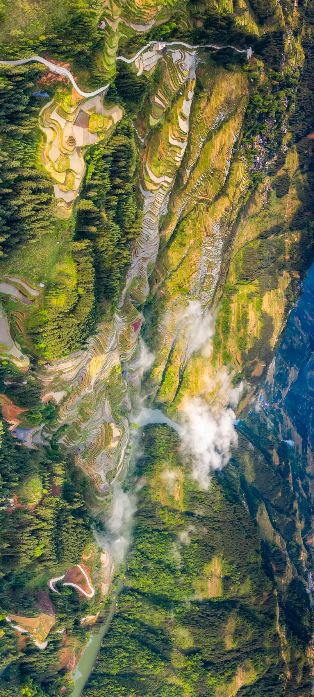 绿色狂想曲,绿色狂想曲三年级