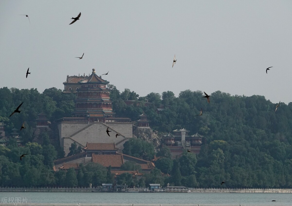 肾阳虚衰周身大汗,肾阳不足出冷汗吃什么药