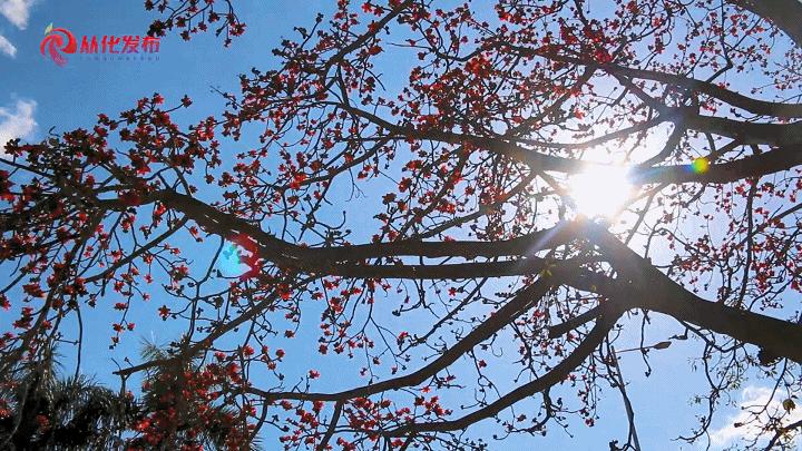 两人从化两天一夜游玩攻略,去从化玩的攻略