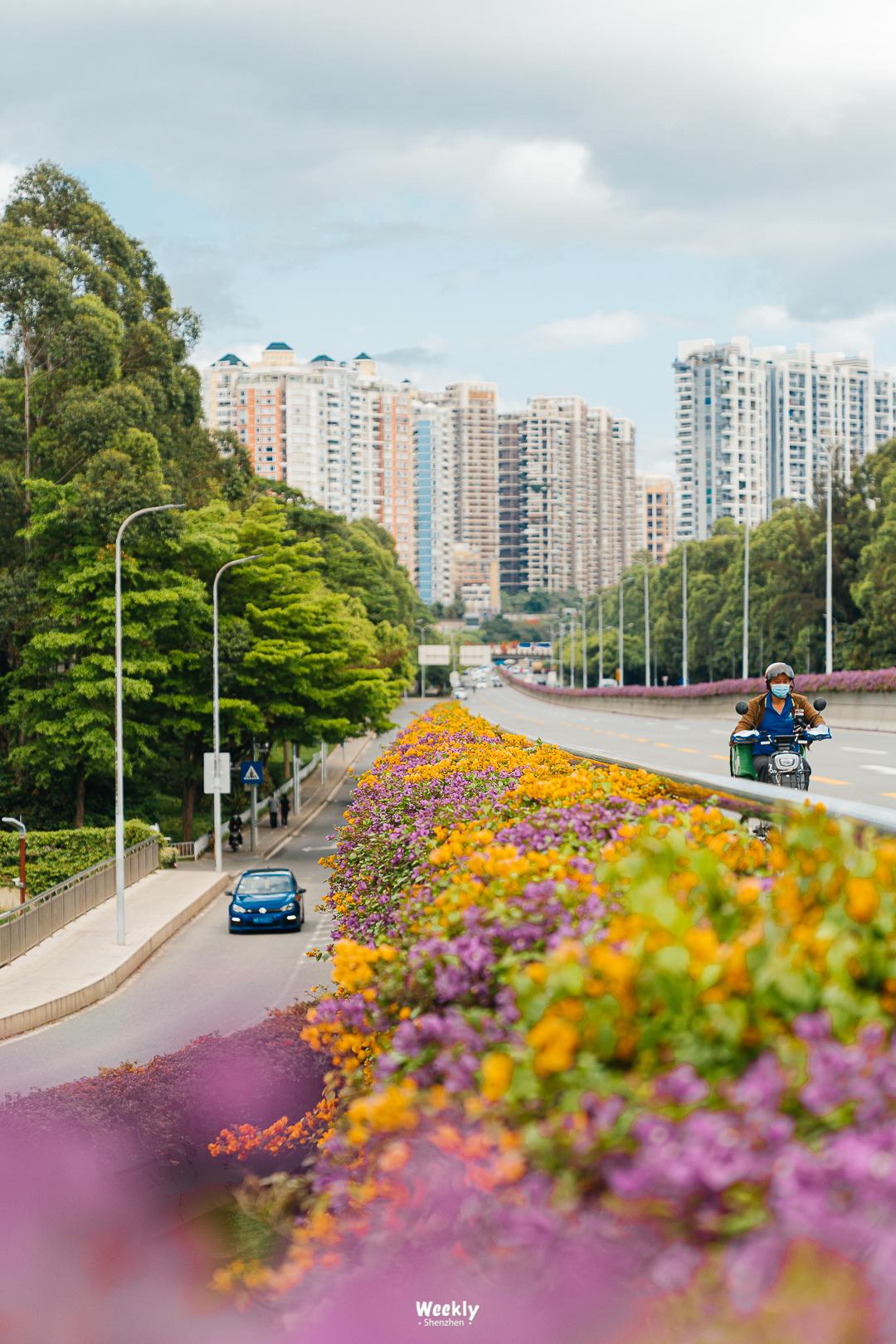 冰雪世界深圳哪来的雪,深圳冰雪世界嬉雪
