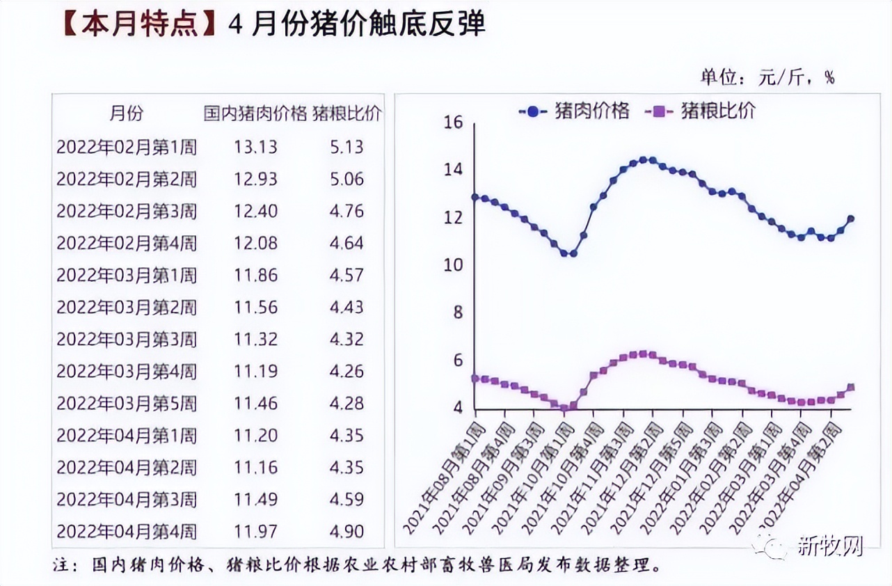 最高涨175元/吨！饲料涨价潮蔓延全国，新希望、大北农、海大、通威、特驱、安佑、金钱、漓源等纷纷宣布...